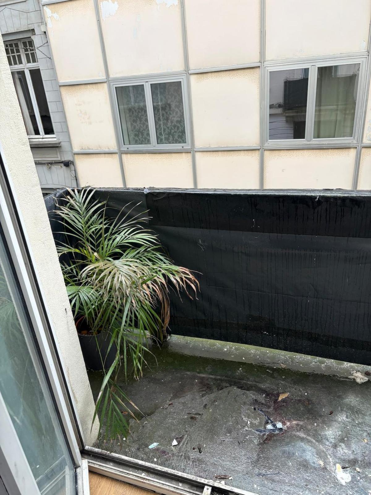 Your Haven Of Peace! Brussels Luaran gambar